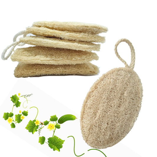 HONSVA Loofah Natural Kitchen Sponge (5 Pcs) No Scratch Scrubber for Dish Cleaning 100% Plant Based Vegetable Scrubber Zero Waste and Eco Friendly Sponge for Kitchen (3 Pcs Oval+2 Pcs Rectangular)